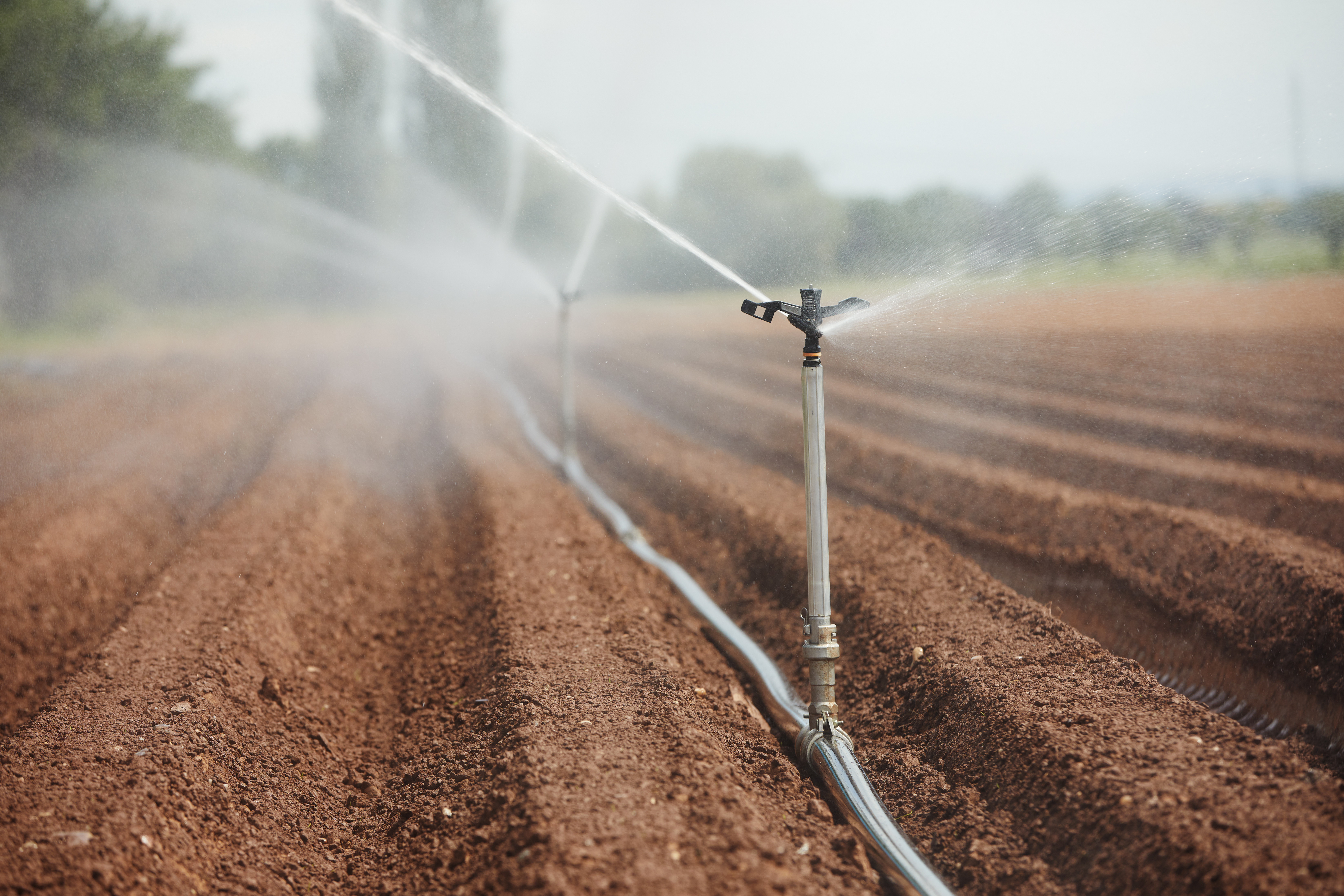 irrigation-system